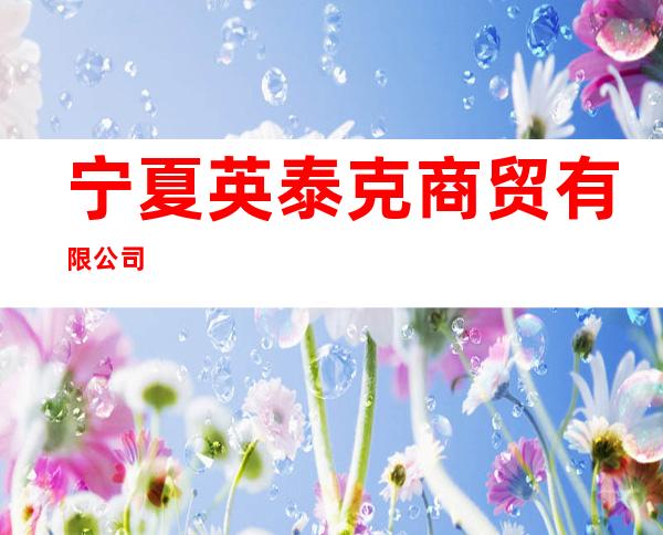 宁夏英泰克商贸有限公司