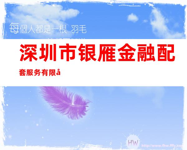 深圳市银雁金融配套服务有限公司