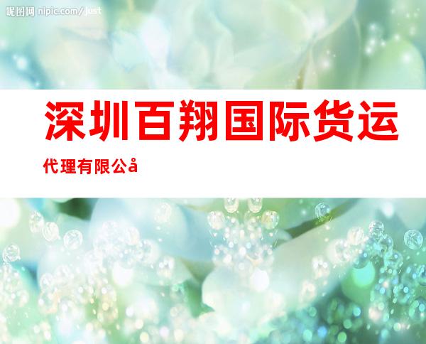 深圳百翔国际货运代理有限公司1