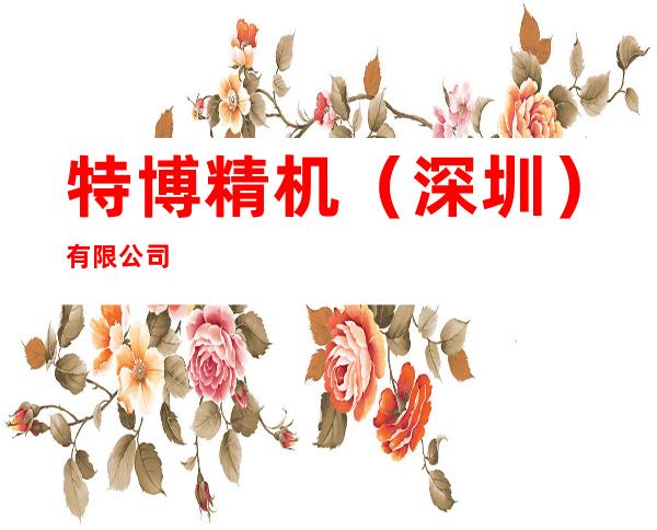 特博精机（深圳）有限公司