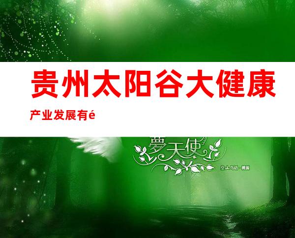 贵州太阳谷大健康产业发展有限公司