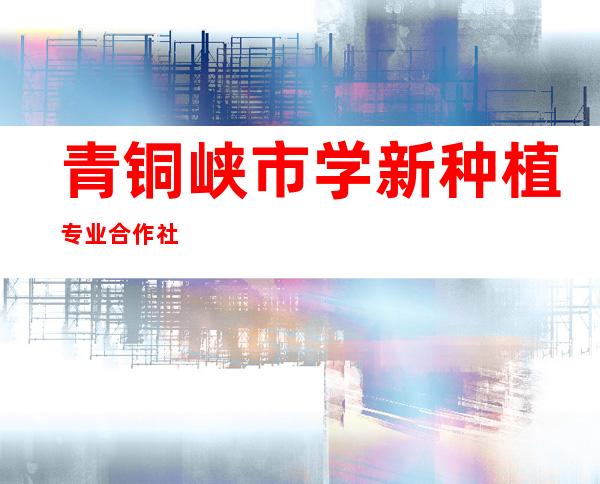 青铜峡市学新种植专业合作社