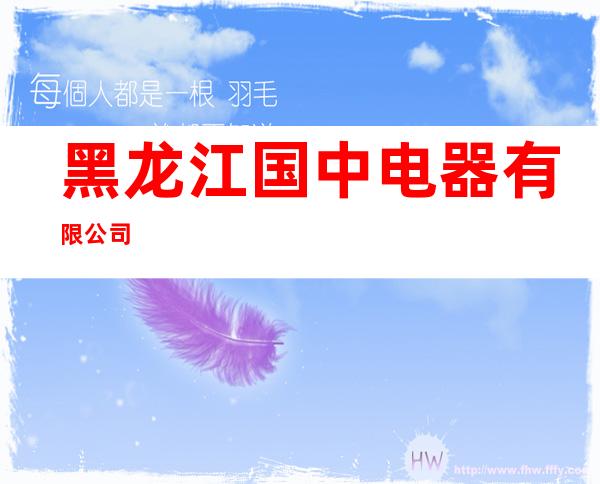 黑龙江国中电器有限公司